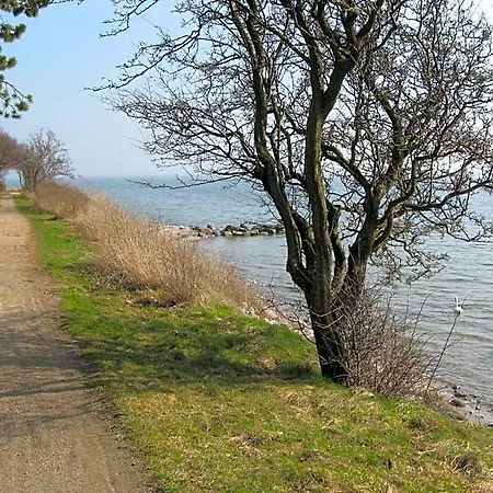 Havn Nysted